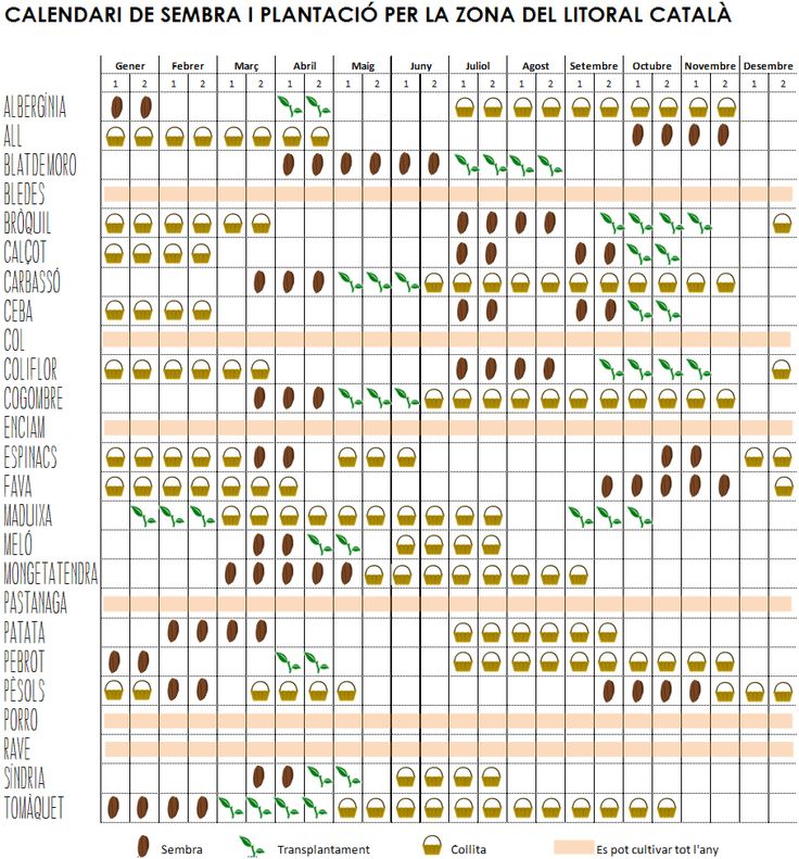 Calendario de siembra 2026 para Cataluña con verduras de temporada para huertos ecológicos