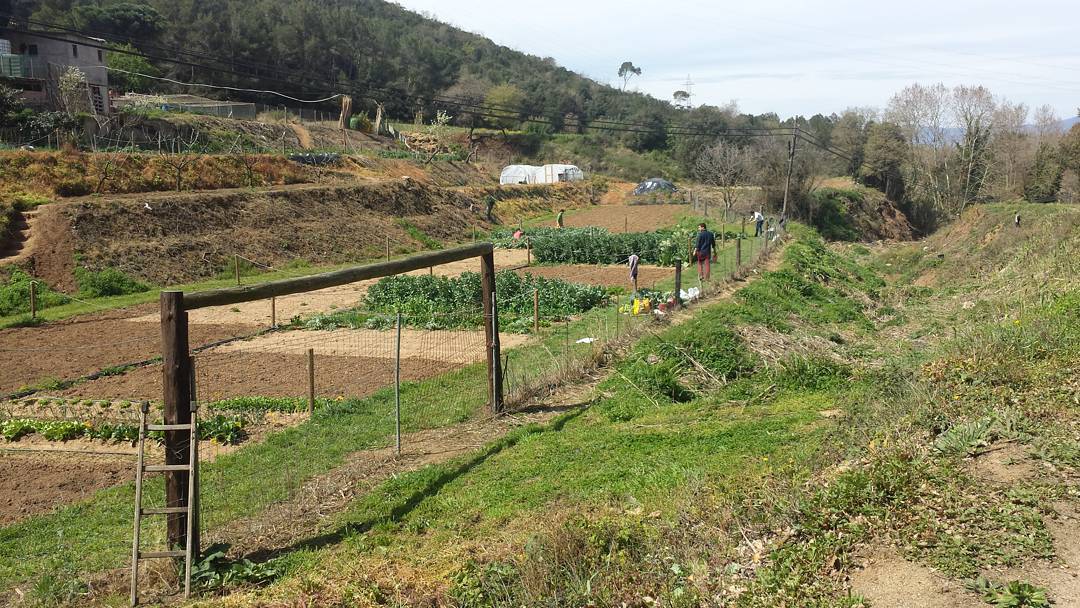 Huertos ecológicos en el Parc Natural de la Serralada de Marina
