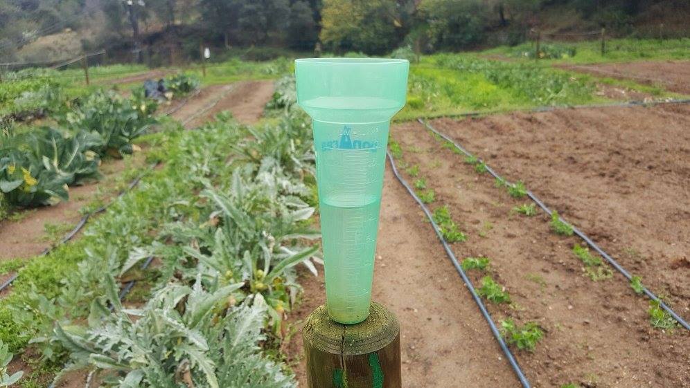 Huertos urbanos de Sant Fost - imagen 01