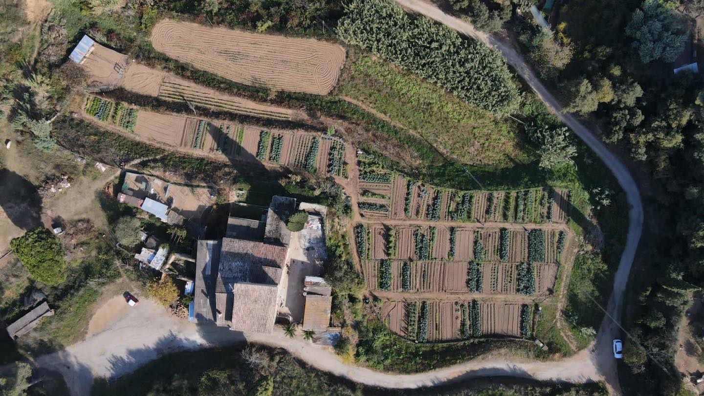 Huertos urbanos de Sant Fost - imagen 17