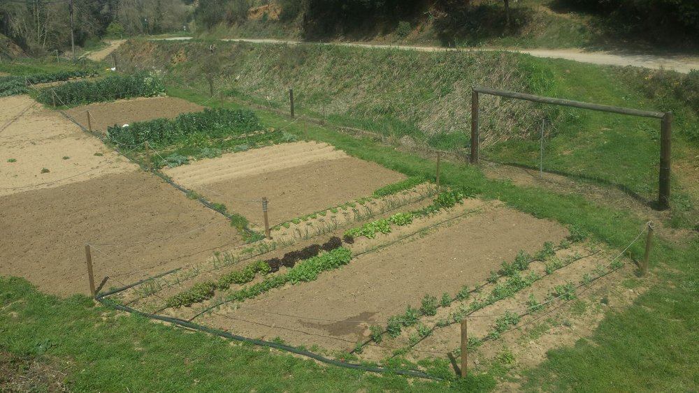 Huertos urbanos de Sant Fost - imagen 20