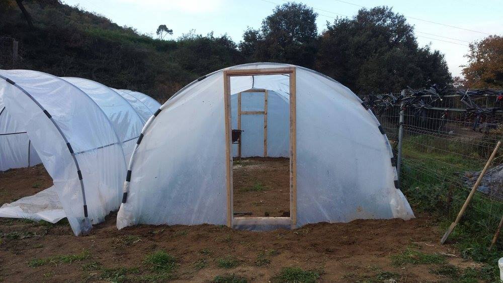 Huertos urbanos de Sant Fost - imagen 21