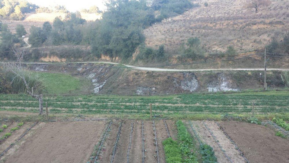 Huertos urbanos de Sant Fost - imagen 22