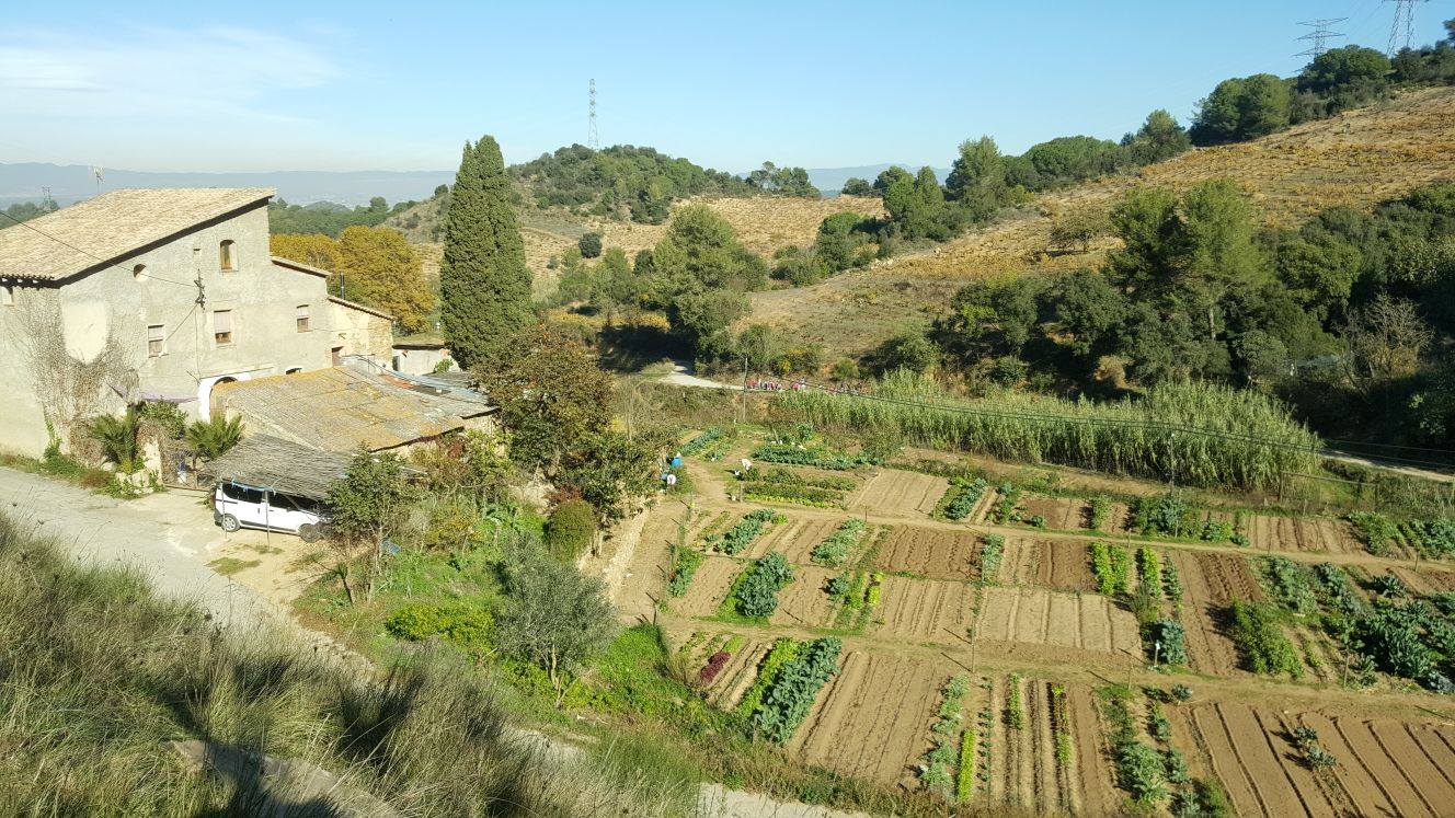 Masía Can Torrens Vell - detalle 03
