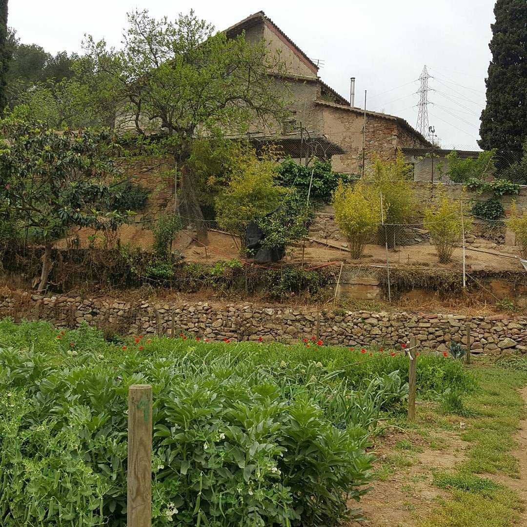 Vista aérea de Can Torrens Vell y las parcelas de huerto en el Vallès Oriental
