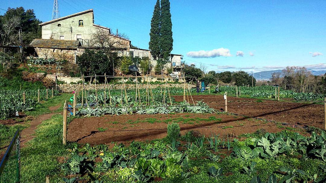Masía histórica de Sant Fost al atardecer rodeada de huertos ecológicos