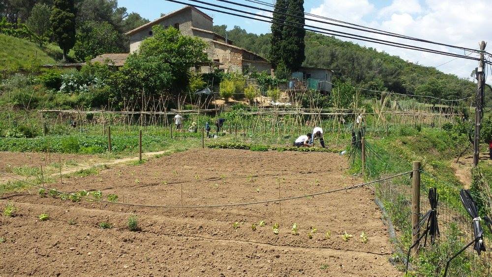 Horts urbans de Sant Fost - imatge 04