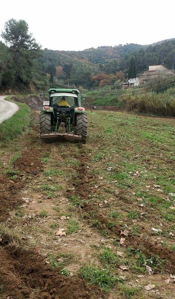 Horts urbans de Sant Fost - imatge 13