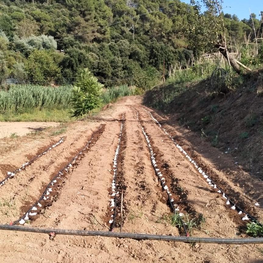 Horts urbans de Sant Fost - imatge 16