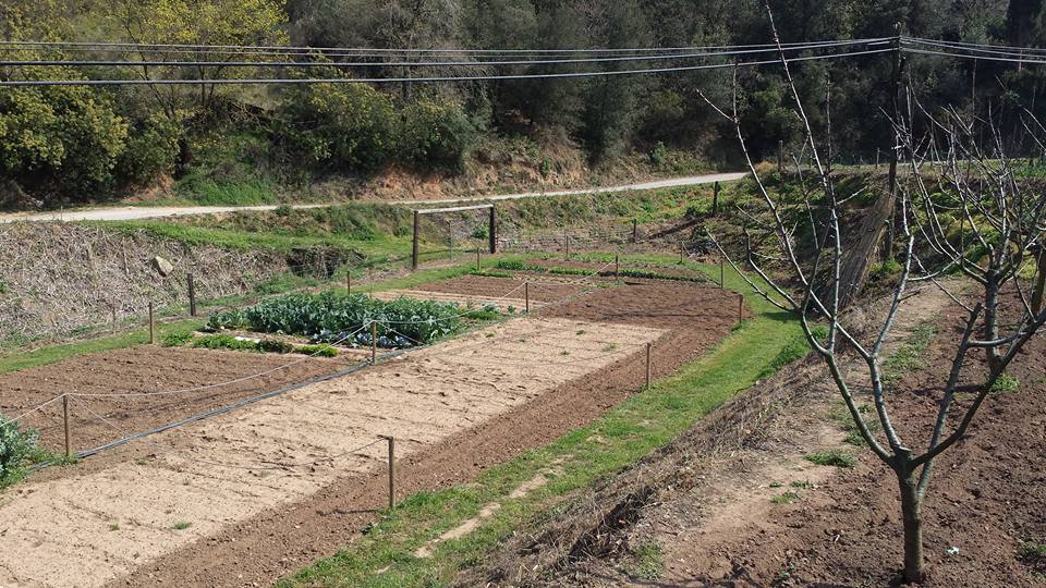 Horts urbans de Sant Fost - imatge 23